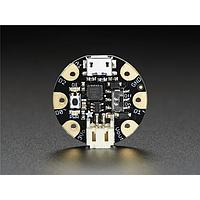 Development Boards & Kits