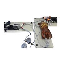 True Phantom Solutions TO-A05 Adult Torso (Dynamic) For X-Ray CT, MRI