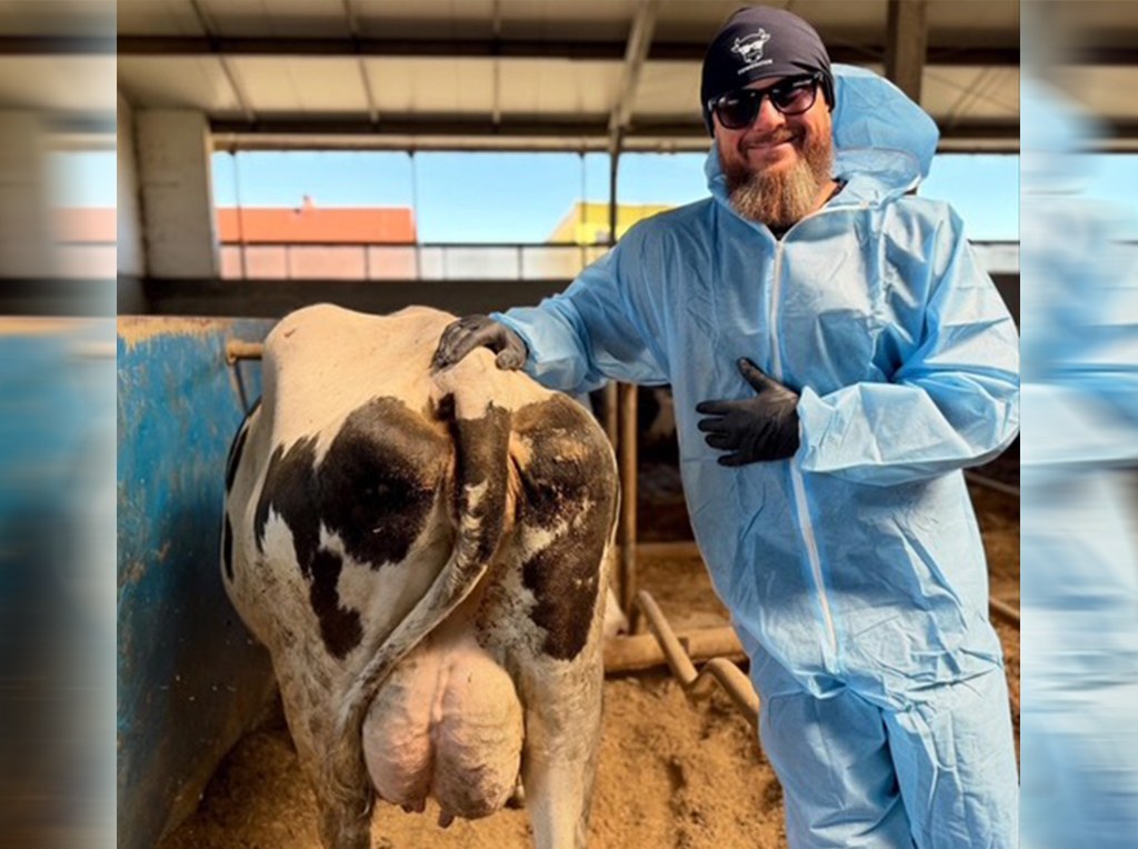 Dairy cow udder health monitoring for mastitis management