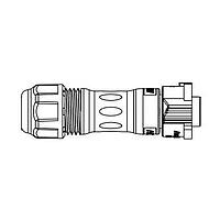 Amphenol LTW BD-02BMFA-QL8MP0 Standard Circular Connector X-Lok, Standard Size, Plastic, 5A, 02 pins, Male Connector, Female Contact, Straight, Push Lock, Crimp, Field Installable, F6.0 - F8.0mm, IP68