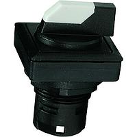 RAFI 1.30.093.700/0200 Switch Actuators RAFIX 16 F Selector switch 2x60