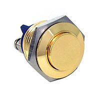 E-Switch PV2H240SBGM01 Anti-Vandal 0-2A 48VDC Off (On) 16mm High 1 Pole