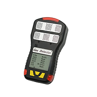 Multi gas detector
