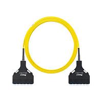 Panduit F9TSPXNXNSNF085 Fiber Optic Cable Assemblies OS2 12f Trunk OFNP LC Cass/LC Cass Std P