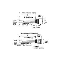 OMEGA MTS-345E2/240V Stainless Steel Immersion Heater 2.5 in NPT Process Water (4500 W, 48 W/in²)