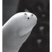 Ametherm SM04503410 NTC Thermistors 50Kohm B-4110K SMD 0402