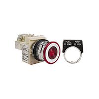 SCHNEIDER 9001KR9P1RH13 Push-Pull PSH BTTN 600VAC 10A 30MM, Type K