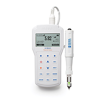 HANNA HI98163 Professional Portable Meat pH Meter (-2.0 ~ 20.0 pH)