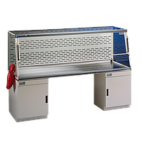 Labconco 4868060 Protector XVS Ventilation Station (8')