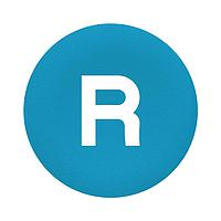 SCHNEIDER ZBA639 Caps PSH BTTN CAP FLUSH BLUE MARKED R