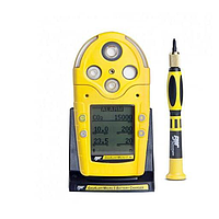 Gas Detector and Meter Inspection Service